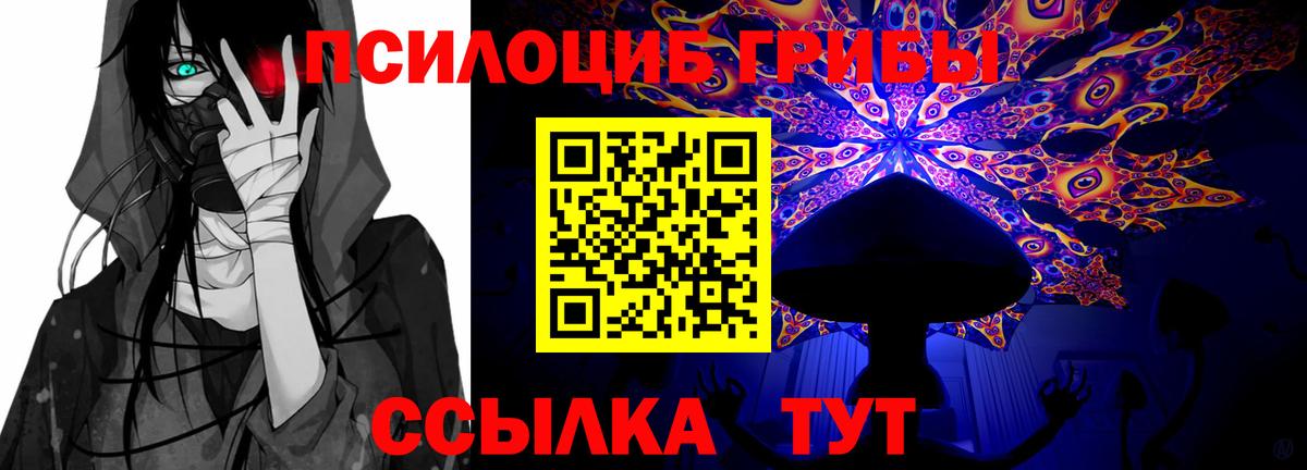 Псилоцибиновые грибы Psilocybine cubensis  Галлюциногенные грибы GOLDEN TEACHER  Вход с VPN  наркотики  Сергиев Посад 